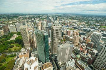 Sydney sky tower krajobraz