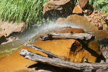 Rocher dans ruisseau