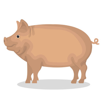 pig animal farm icon vector illustration design