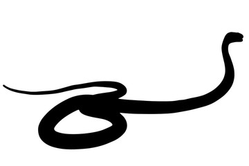 Illustration of black backlight King Cobra silhouette isolated on white background, with copy space.
