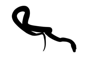 Illustration of black backlight Reticulated Python snake Pythonidae Reticulatus, silhouette isolated on white background, with copy space.