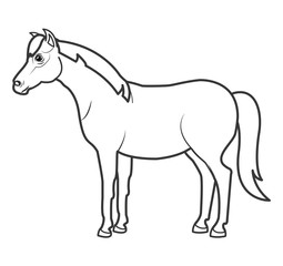 Obraz na płótnie Canvas horse animal farm icon vector illustration design