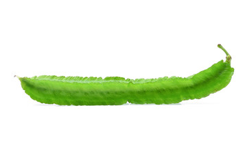 fresh green winged bean isolated on white background