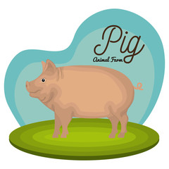 pig animal farm icon vector illustration design