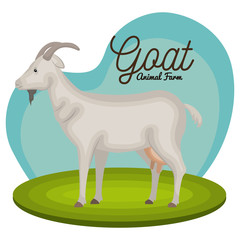 goat animal farm icon vector illustration design