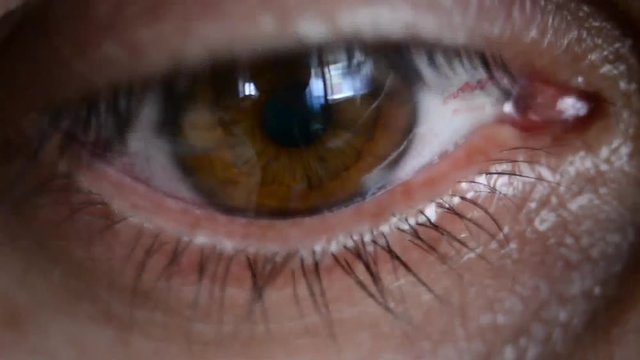 close up view of an eye with brown iris