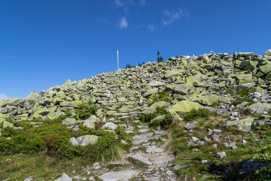 Lusen Gipfel; Nationalpark Bayerischer Wald, Sommer