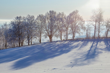 Winter landscape