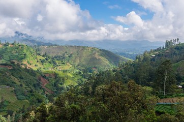 Fototapeta premium Hilly landscape in central Sri-Lanka