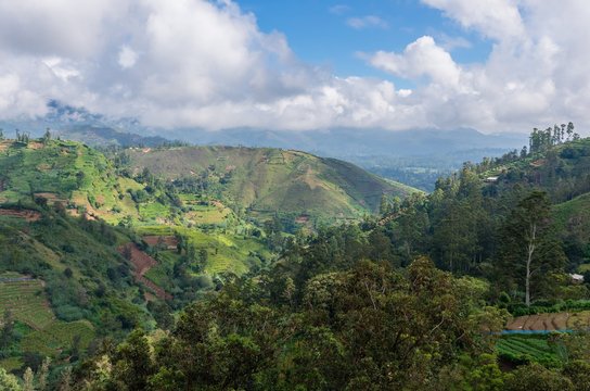Hilly landscape in central Sri-Lanka