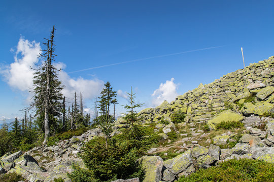 Lusen Gipfel; Nationalpark Bayerischer Wald, Sommer
