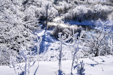 Bright winter landscape with trees in the forest at sunrise