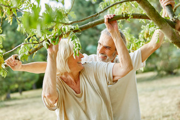 Senioren Paar lacht glücklich unter einem Baum