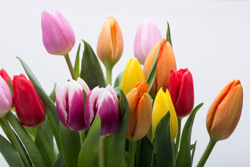 colorful bouquet of fresh spring tulip flowers