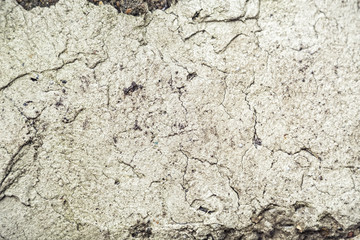 the surface of the concrete in cracks