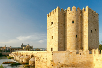 Cordoba. Roman bridge.