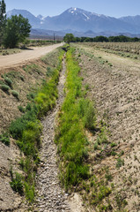 Fototapeta na wymiar Dry Irrigation Ditch