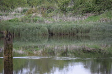 Netul Landing, Warrenton, OR