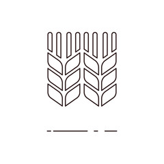 Vector illustration of thin line wheat icon on white background