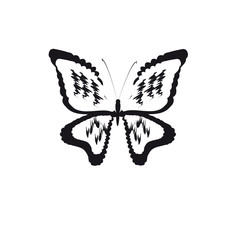 beautiful butterflies, isolated on a white