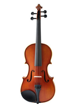Violin front view isolated on white background