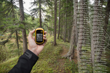 A trekker is finding the right position in the forest via gps in a cloudy autumnal day