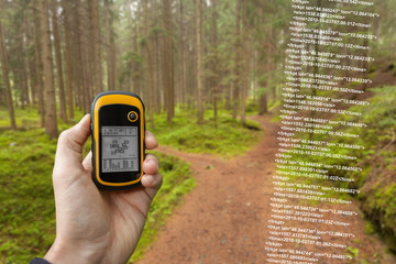 A trekker is finding the right position in the forest via gps in a cloudy autumnal day