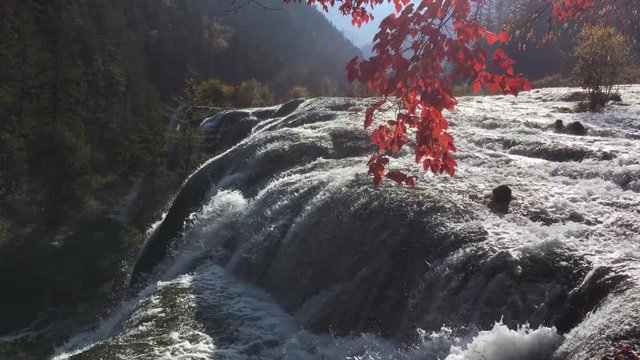 Pearl Shoal Waterfalls at Jiuzhaigou National Park  lake,  The UNESCO World Heritage in Sichuan , China in  Autumn  in November  located in  in  Tibetan-Qiang of Sichuan ,China