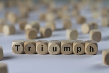 Triumph - Holzwürfel mit Buchstaben