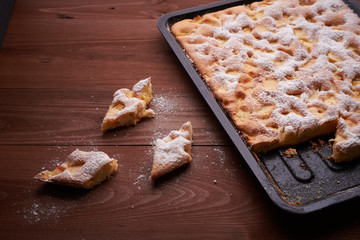 charlotte apple cake in the pan and slices of cake