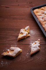 charlotte apple cake in the pan and slices of cake