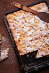 charlotte apple cake in the pan and slices of cake