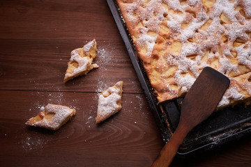 charlotte apple cake in the pan and slices of cake