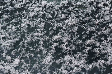 Christmas snowflakes on glass