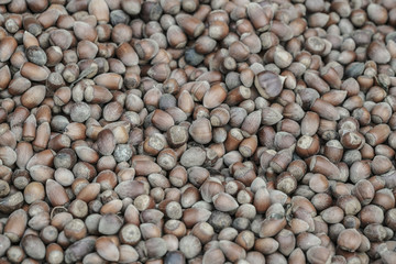Hazelnuts as a background