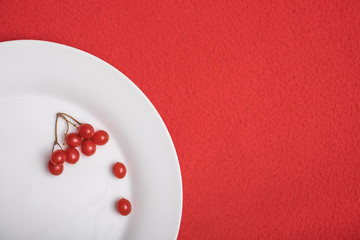 Viburnum berries on the white plate. The dish is on the table covered with a red tablecloth..