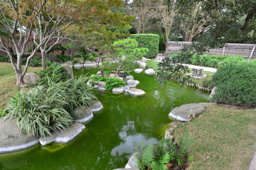 A Japanese garden at a Botanical garden in Texas.
