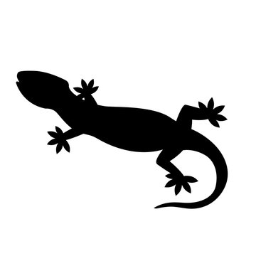Lizard black silhouette vector illustration