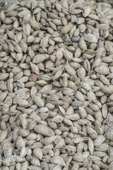 Shelled almonds as a background