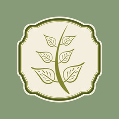 Leaves ecology plant icon vector illustration graphic design