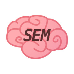 Isolated brain icon with    the text SEM