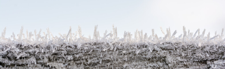 In den Morgenstunden gebildeter Raureif
