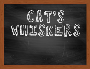 CATS WHISKERS handwritten text on black chalkboard