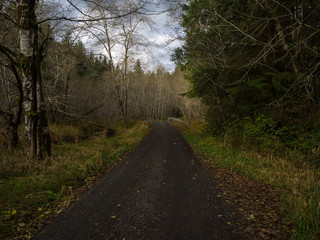 Country Road Late Fall