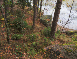 Nature background with coastal reed and shining lake water