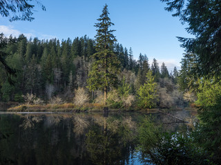 Lake Sylvia After The Leaves Fell