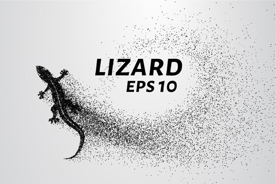 Lizard of particles. The lizard consists of small circles and dots. Vector illustration