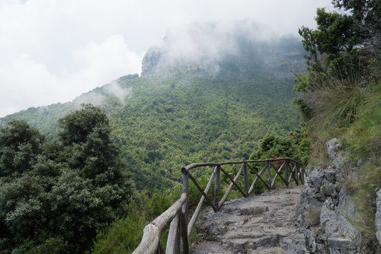 Path of the Gods in the Fog