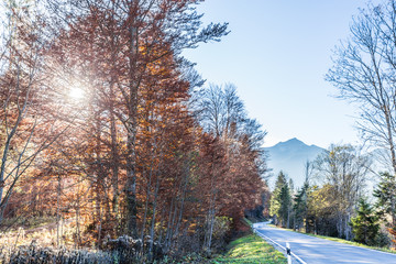 bayrischer wald