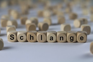 Schlange - Holzwürfel mit Buchstaben